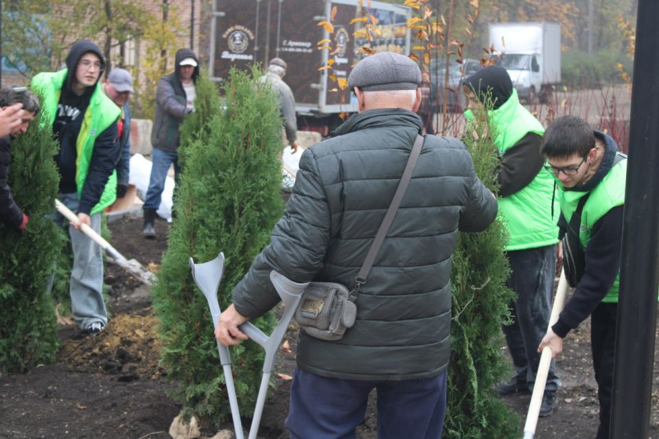 В Горловке высадили туи в рамках акции «Аллея Единства» В Горловке высадили туи в рамках акции «Аллея Единства»