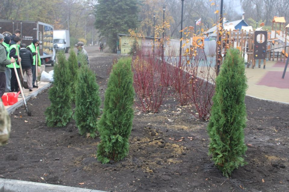 В Горловке высадили туи в рамках акции «Аллея Единства» В Горловке высадили туи в рамках акции «Аллея Единства»