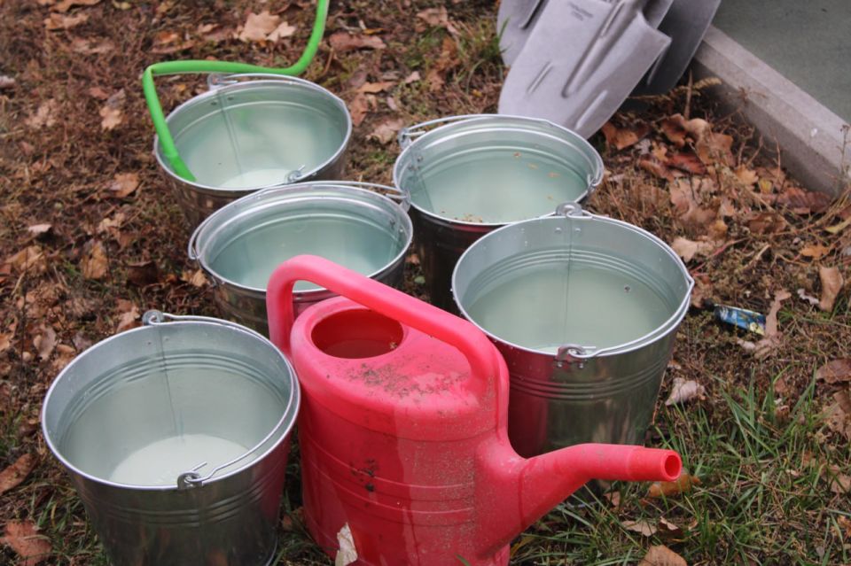 В Детском социальном центре Горловки высадили зеленые насаждения в рамках акции «Аллея единства» В Детском социальном центре Горловки высадили зеленые насаждения в рамках акции «Аллея единства»