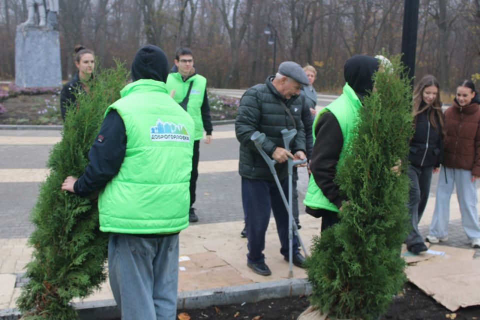 В Горловке высадили туи в рамках акции «Аллея Единства» В Горловке высадили туи в рамках акции «Аллея Единства»