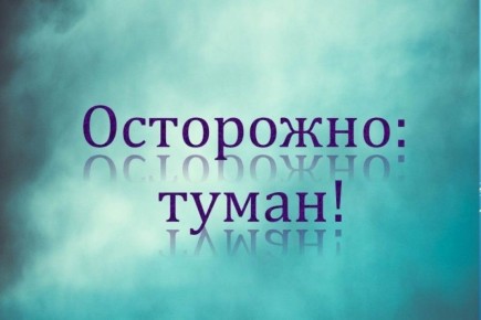 Роман Конев: Безопасность на дороге в туман: Забота каждого