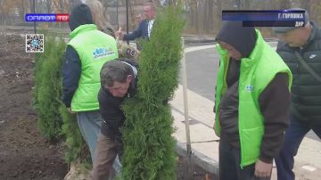 Аллея единства расцветает в Горловке: туи и можжевельник украсили парк Горького