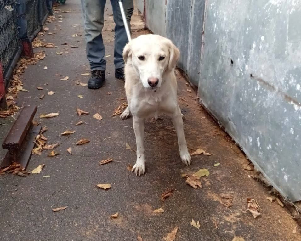 ����� �����: ������������� ��������� ����������� �������л ������������� ���������� ������ �������� �������� �������� ����������