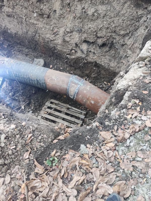 ���� ���������: ������������ ������� �������� ����� �������� � ������������ �� �������� ���������� �� ����������� ���������� ������ ���� � ��������