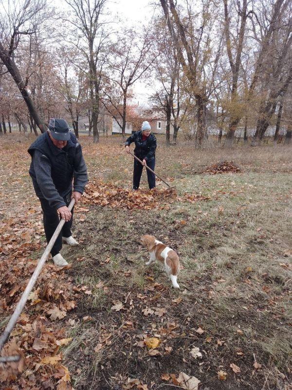 ���� ���������: � ����������� ������ �������� ������������ ���������� ��������� ������ ������ ������ ���������� �����