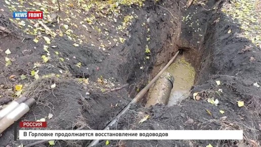  :   , - ,       ,     2026 