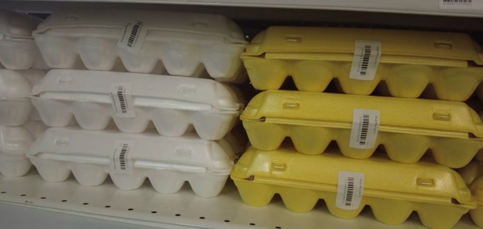 ���� ���������: ��������� ��������� �������� ��������� ��� ��������� � ����������� ������ ��������