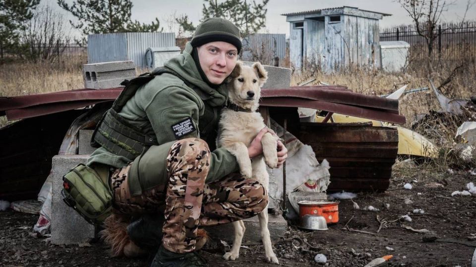 Денис Пушилин: Обеспечиваем в Республике дополнительную правовую защиту для волонтеров, работающих в трудных и опасных условиях Денис Пушилин: Обеспечиваем в Республике дополнительную правовую защиту для волонтеров, работающих в трудных и опасных условиях