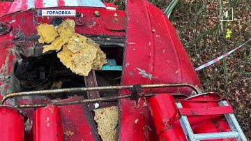 Пострадали четыре сотрудника МЧС! Неонацисты прицельно бьют по спасателям