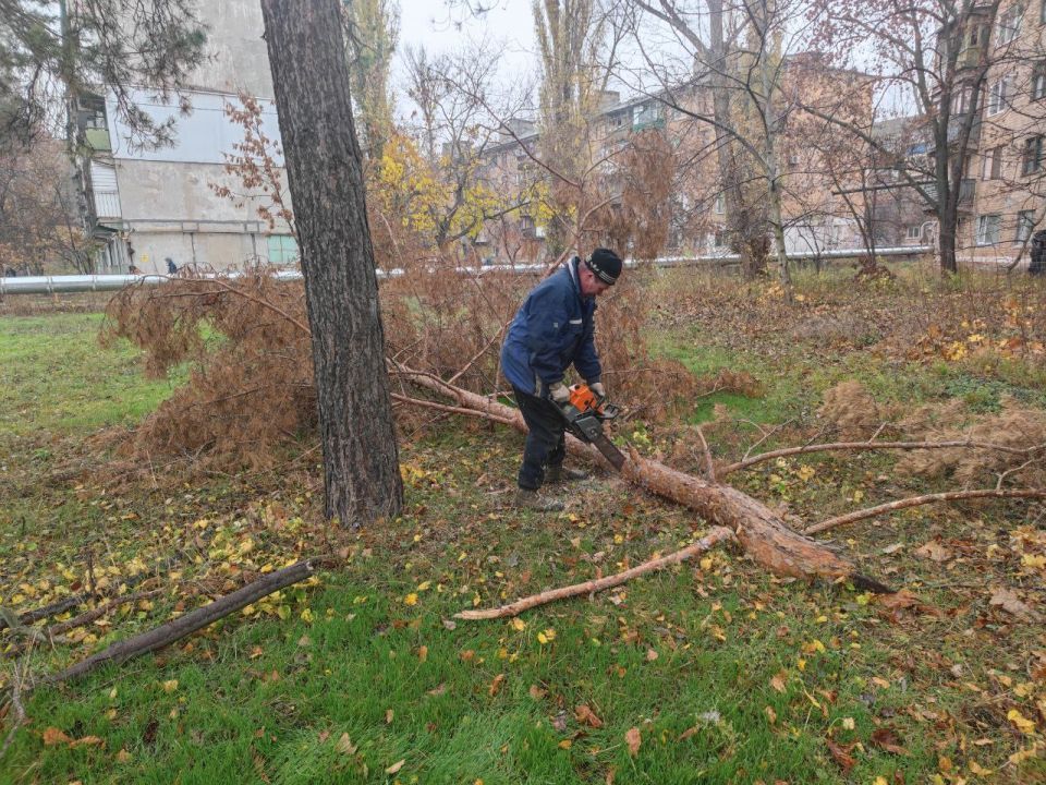 ����� �����: ������������� ��������� ����������� ������������ �������� ������ ��������� ������������� ���������� ������ ��������