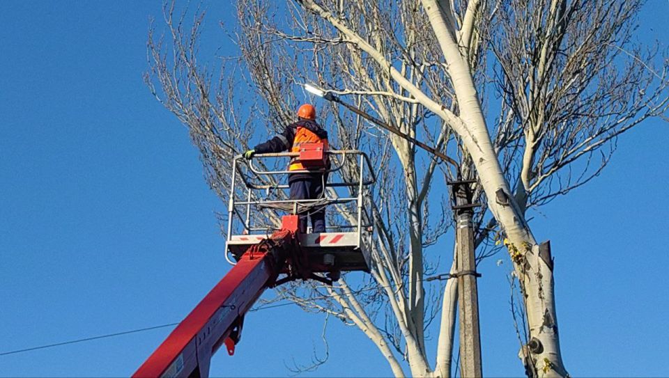 ���� ���������: � �������� ���� ������� �������������� �������� ���������