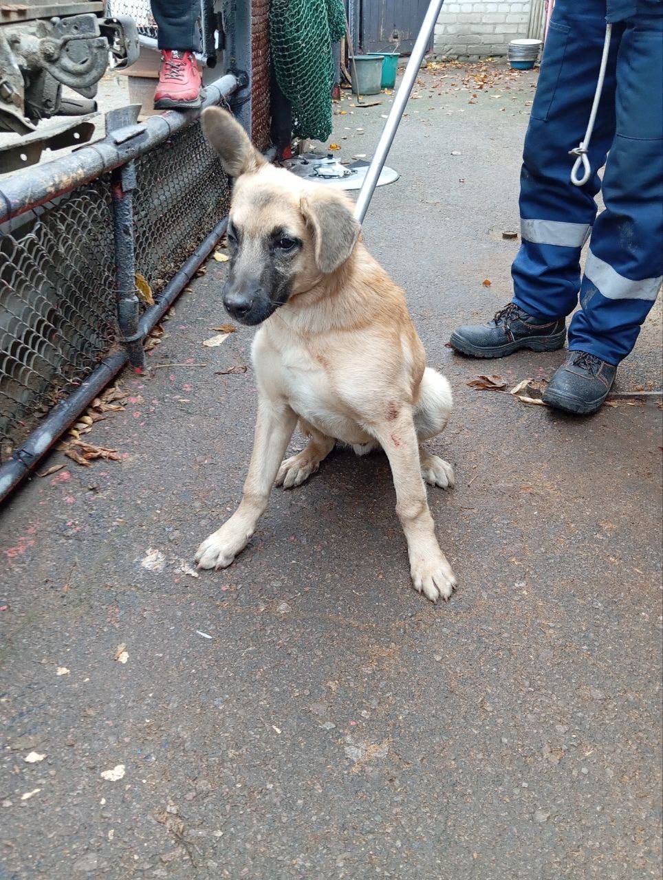 Роман Конев: МУНИЦИПАЛЬНОЕ УНИТАРНОЕ ПРЕДПРИЯТИЕ «ПРОСТОР» АДМИНИСТРАЦИИ ГОРОДСКОГО ОКРУГА ГОРЛОВКА ДОНЕЦКОЙ НАРОДНОЙ РЕСПУБЛИКИ Роман Конев: МУНИЦИПАЛЬНОЕ УНИТАРНОЕ ПРЕДПРИЯТИЕ «ПРОСТОР» АДМИНИСТРАЦИИ ГОРОДСКОГО ОКРУГА ГОРЛОВКА ДОНЕЦКОЙ НАРОДНОЙ РЕСПУБЛИКИ