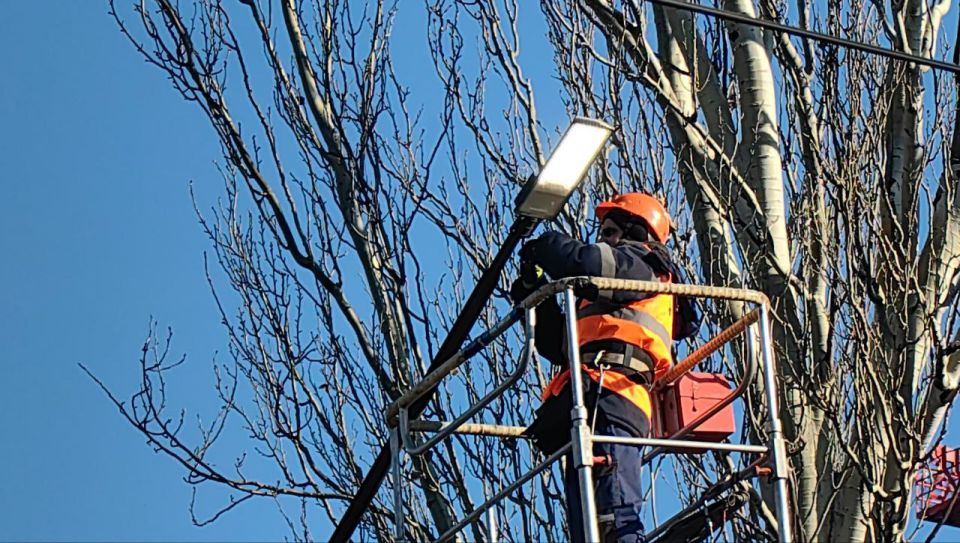 ���� ���������: � �������� ���� ������� �������������� �������� ���������