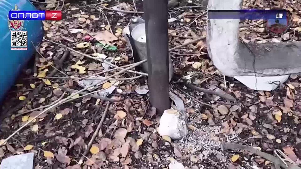 440 ��������� ���� ������������� ������� ������ "����� ��������"