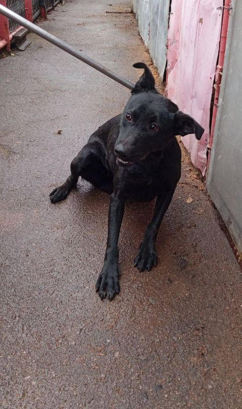 Роман Конев: МУНИЦИПАЛЬНОЕ УНИТАРНОЕ ПРЕДПРИЯТИЕ «ПРОСТОР» АДМИНИСТРАЦИИ ГОРОДСКОГО ОКРУГА ГОРЛОВКА ДОНЕЦКОЙ НАРОДНОЙ РЕСПУБЛИКИ Роман Конев: МУНИЦИПАЛЬНОЕ УНИТАРНОЕ ПРЕДПРИЯТИЕ «ПРОСТОР» АДМИНИСТРАЦИИ ГОРОДСКОГО ОКРУГА ГОРЛОВКА ДОНЕЦКОЙ НАРОДНОЙ РЕСПУБЛИКИ