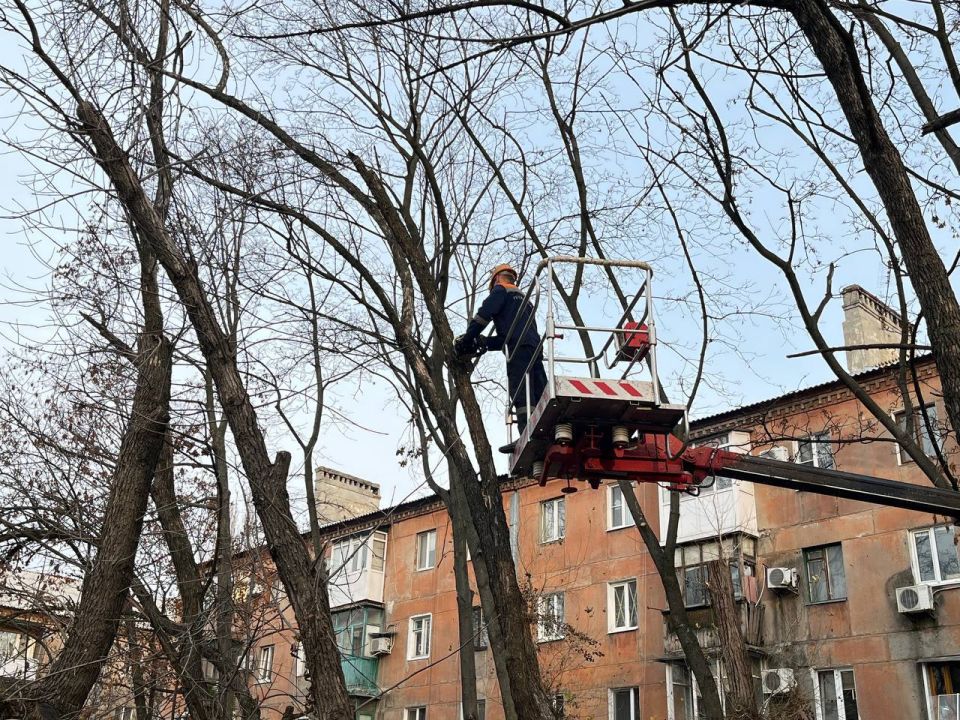 � �������, ����������� ��� ��������