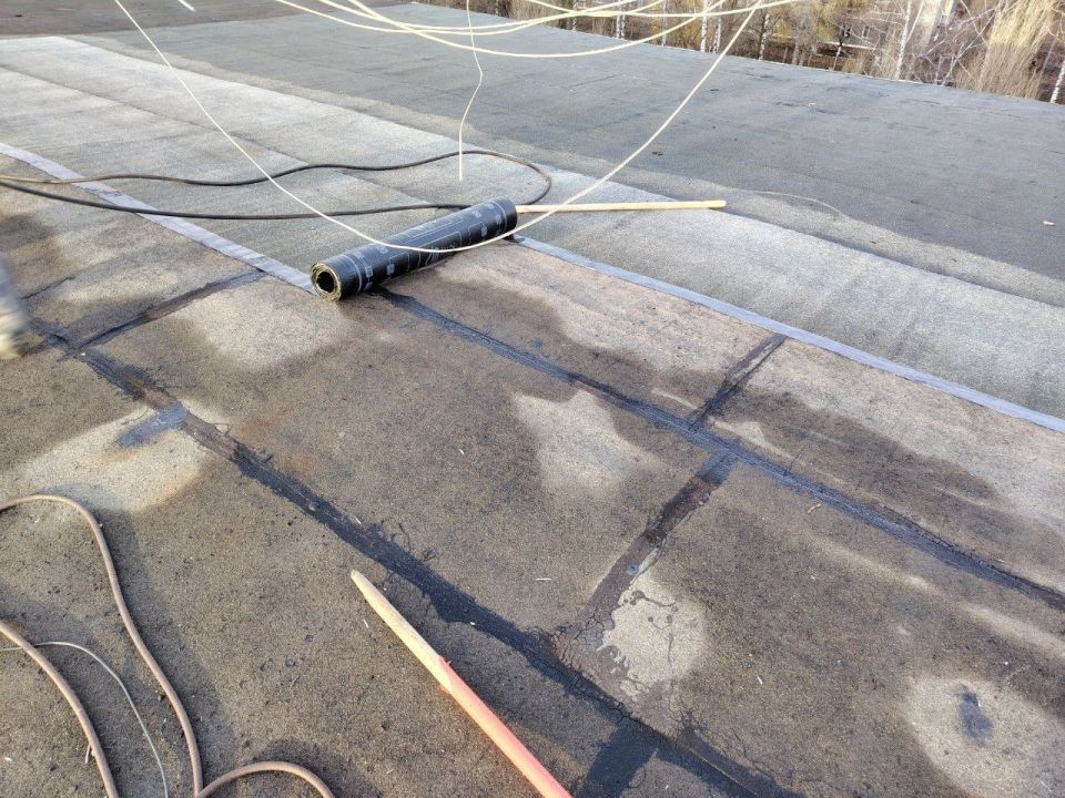 ����� �����: ����� ����������� ����� ������������� ��������� ������������ ������������ �������� ������ ���������