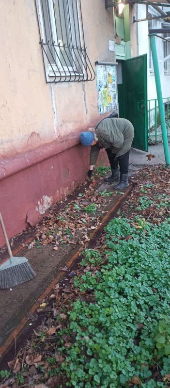 ����� �����: ������������� ��������� ����������� ������������ �������� ������ ��������� ������������� ���������� ������ ��������