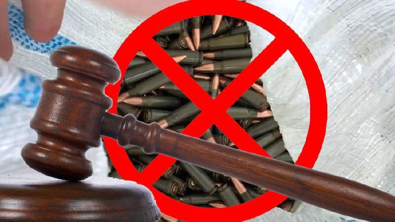 Суд рассмотрел дело о незаконном приобретении и хранении взрывчатых устройств и боеприпасов на территории Российской Федерации