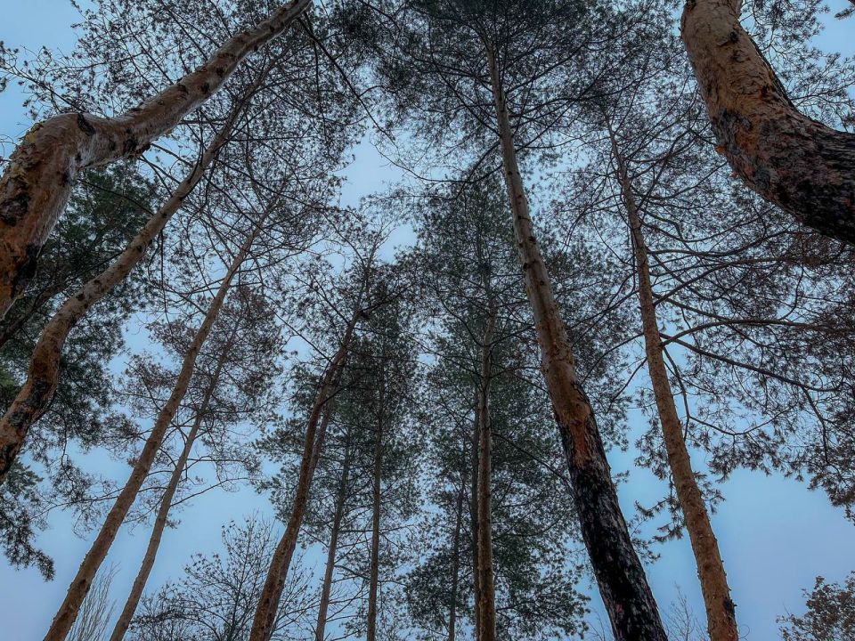 ��������� ���������� ��������� ������� ���� �����