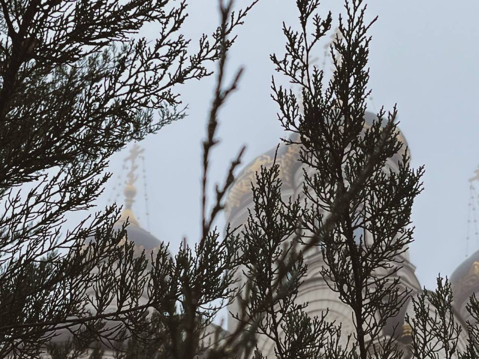 ��������� ���������� ��������� ������� ���� �����