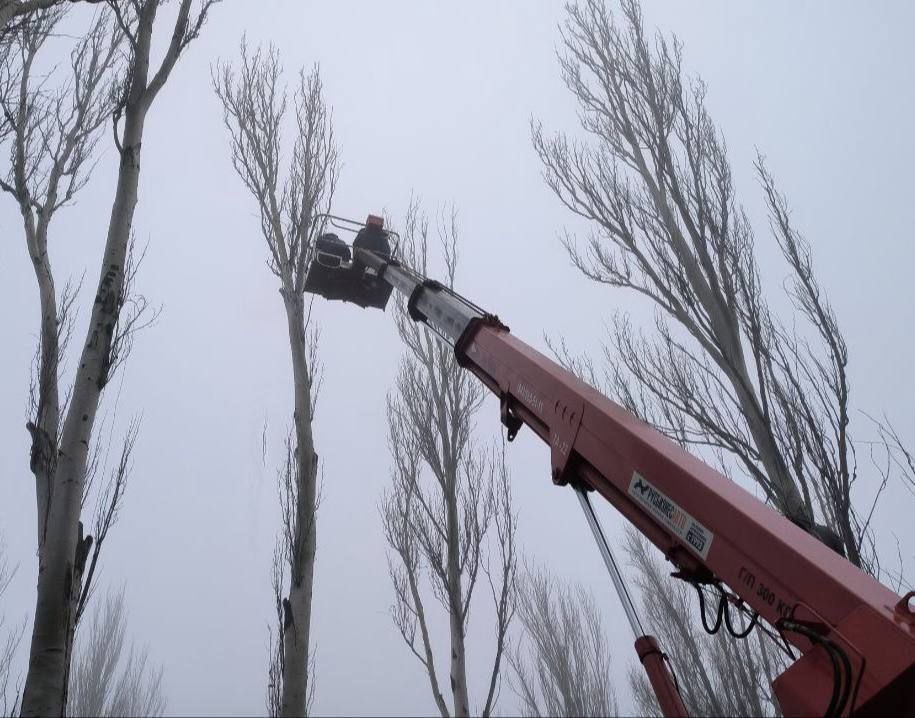 ����� �����: ������������� ��������� ����������� �������л ������������� ���������� ������ �������� �������� �������� ����������