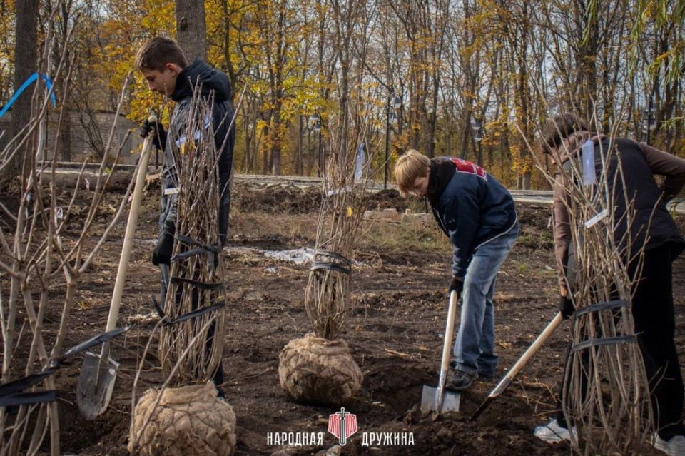День добровольца. Добровольчество начинается с простых вещей: взаимовыручки, доброты и желания не проходить мимо День добровольца. Добровольчество начинается с простых вещей: взаимовыручки, доброты и желания не проходить мимо
