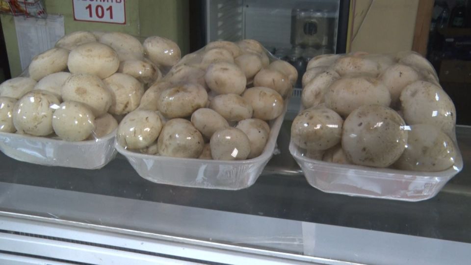 ���� ���������: ��������� ��������� �������� ��������� ��� ��������� � ����������� ������ ��������