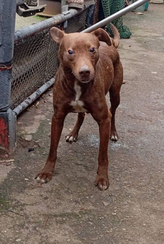 ����� �����: ������������� ��������� ����������� �������л ������������� ���������� ������ �������� �������� �������� ����������