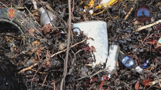 Денис Пушилин: Системой РЭБ «Купол Донбасса» за неделю предотвращены 349 террористических атак со стороны противника