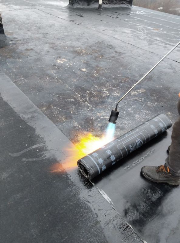 ����� �����: ����� ����������� ����� ������������� ��������� ������������ ������������ �������� ������ ���������