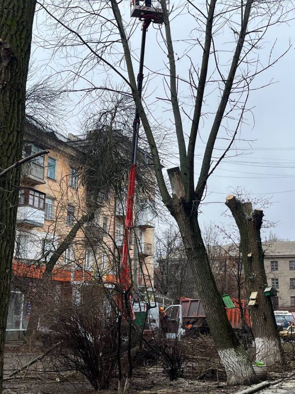 � �������, ����������� ��� ��������