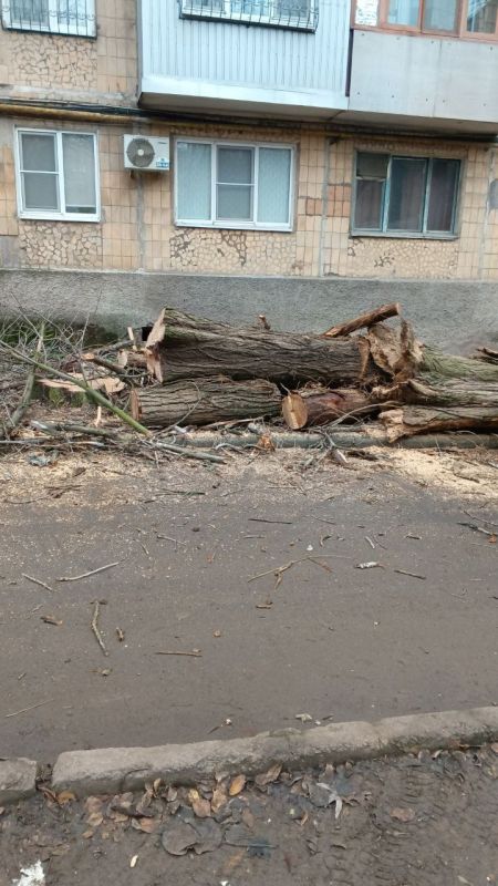 ����� �������: �������� ���������� ��������� � ����� ������������� ������� ������� �������� ������� � ������� ���� ���������� ��������