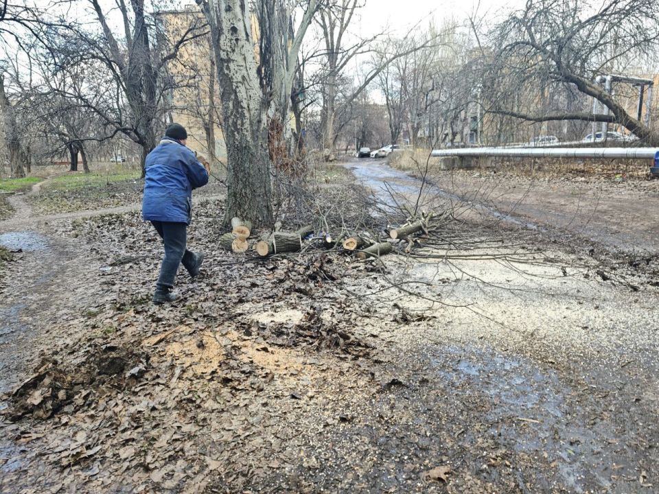 ����� �����: ����� ����������� ����� ������������� ��������� ������������ ������������ �������� ������ ���������