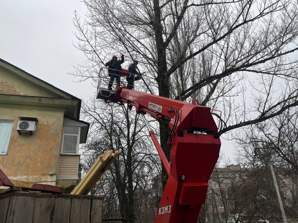 � �������, ����������� ��� ��������