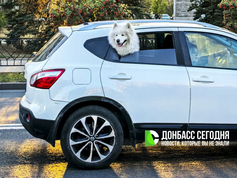 � �������� ���������� ���� � ������� ������������� � �����������