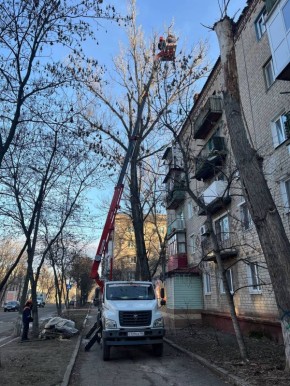 ����� �����: ������������� ��������� ����������� �������л ������������� ���������� ������ �������� �������� �������� ����������