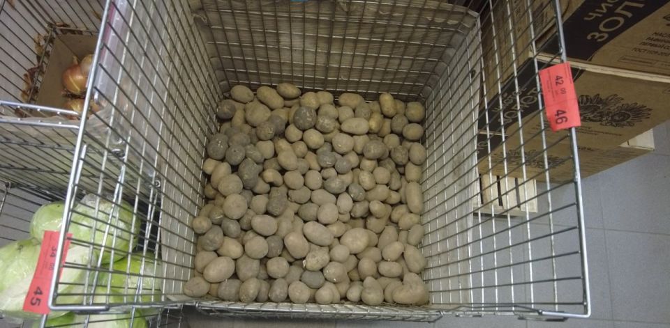 ���� ���������: ��������� ��������� �������� ����������� �������� ���� ��������� � ����������� ������ ��������