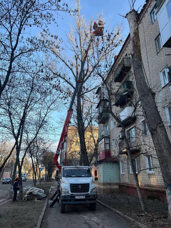 ���������� � ���������� ����������� ��������� ��������������� ������������ �����