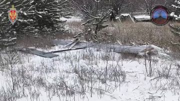 � ���������� ���� ��������� ������� ������� �� �������� ����� ���������������� ���������� � ������������ ������ ������� � ��������� ������ ��������