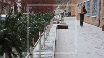 ���� ����� ������������ �����������: ������������ ���������� ����� � ��������