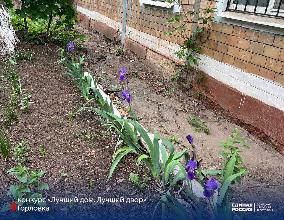 Новый год начинаем с побед Новый год начинаем с побед