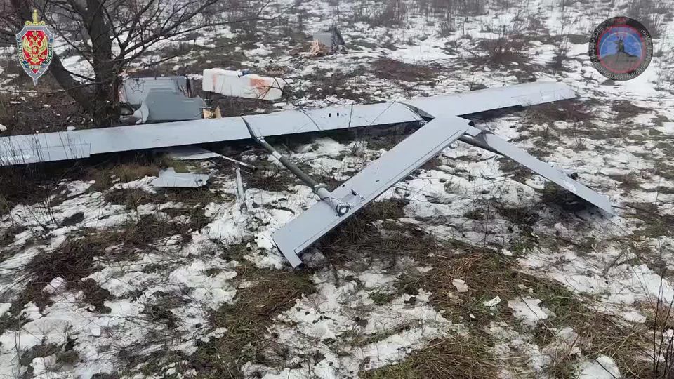 ����� �������: �������� ��� ������ �������� �� ������ ������������� 252 ���������������� ����� �� ������� ����������