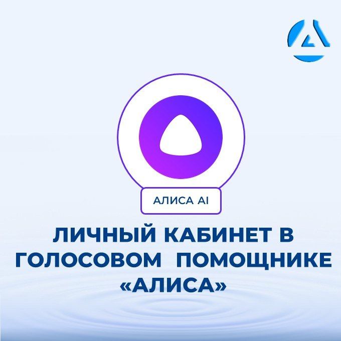 Роман Конев: Для удобства жителей личный кабинет «Коммунальные услуги ДН» доступен в голосовом помощнике «Алиса»