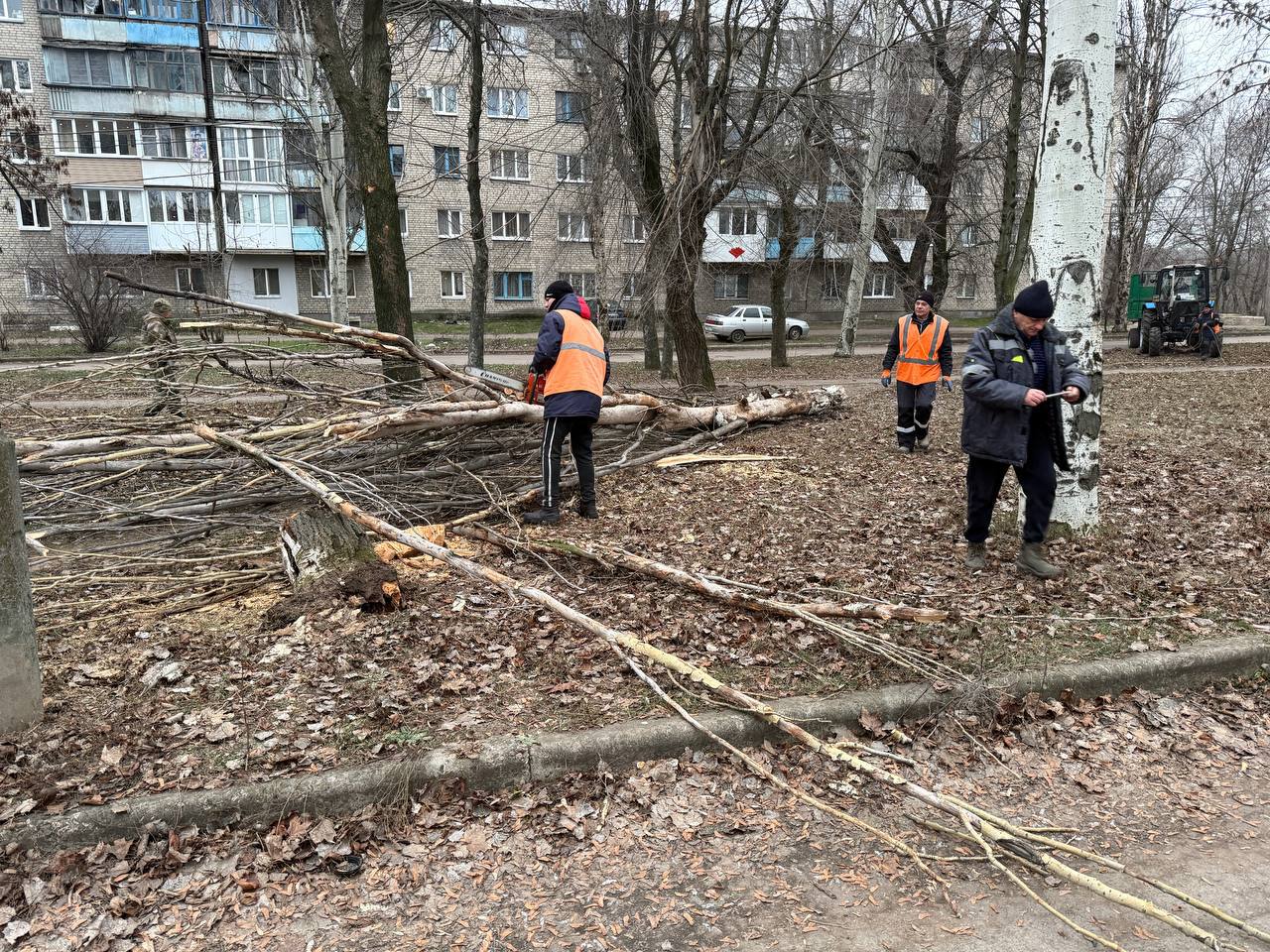 Денис Пушилин: По заявкам жителей за ноябрь и декабрь 2025 года спилили более 700 аварийных деревьев Денис Пушилин: По заявкам жителей за ноябрь и декабрь 2025 года спилили более 700 аварийных деревьев