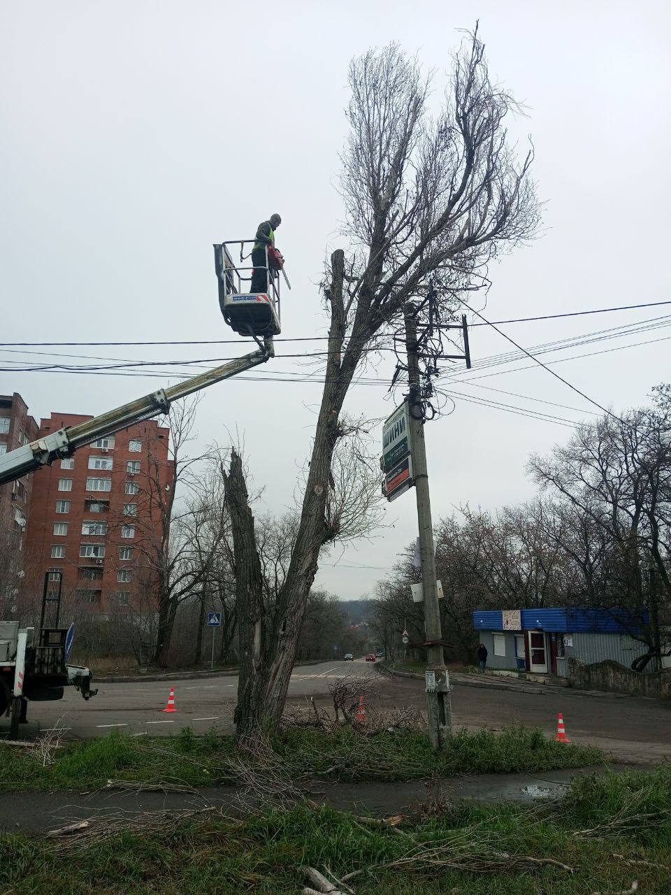 Денис Пушилин: По заявкам жителей за ноябрь и декабрь 2025 года спилили более 700 аварийных деревьев Денис Пушилин: По заявкам жителей за ноябрь и декабрь 2025 года спилили более 700 аварийных деревьев