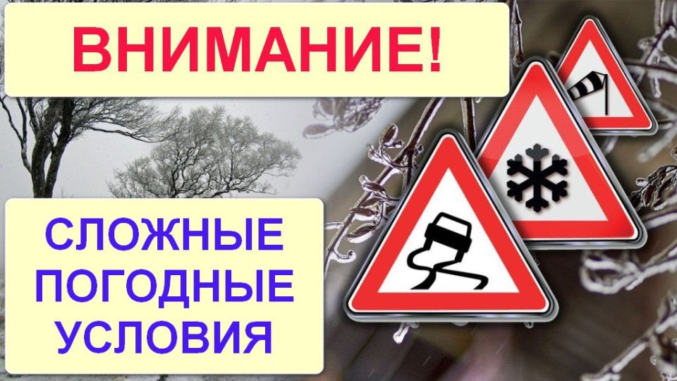 ����� �����: ���������� ��������� ��� ��������, ��� � ����� � ����������� ��������� ����� 16 ������ � 09:00 �� 11:00 �� ����� �������������� �� ����� ���������