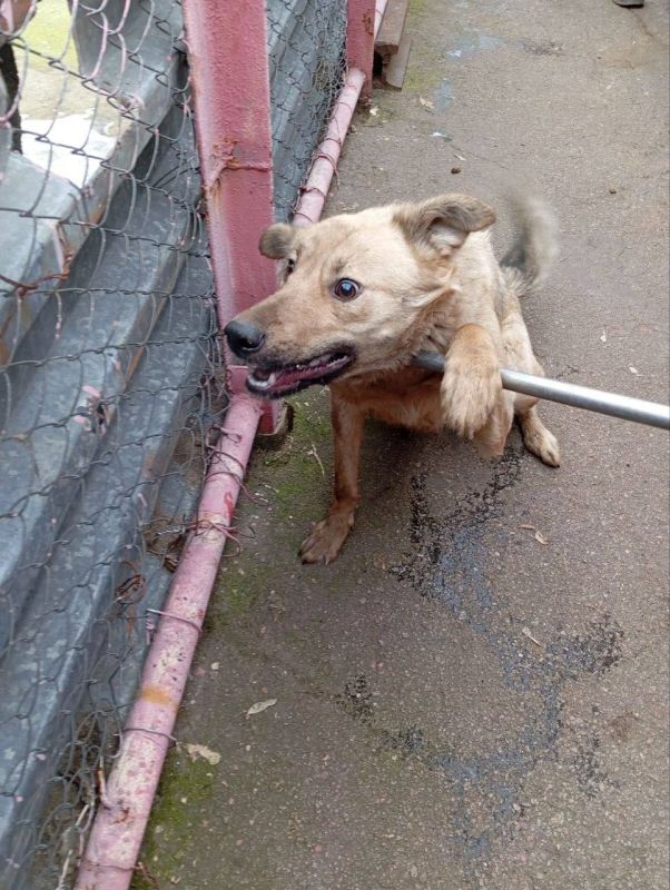 Роман Конев: МУНИЦИПАЛЬНОЕ УНИТАРНОЕ ПРЕДПРИЯТИЕ «ПРОСТОР» АДМИНИСТРАЦИИ ГОРОДСКОГО ОКРУГА ГОРЛОВКА ДОНЕЦКОЙ НАРОДНОЙ РЕСПУБЛИКИ Роман Конев: МУНИЦИПАЛЬНОЕ УНИТАРНОЕ ПРЕДПРИЯТИЕ «ПРОСТОР» АДМИНИСТРАЦИИ ГОРОДСКОГО ОКРУГА ГОРЛОВКА ДОНЕЦКОЙ НАРОДНОЙ РЕСПУБЛИКИ