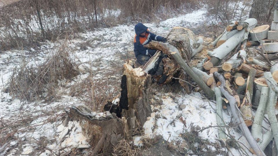 � ������ ��� ��������. ������������� ��������� ����������� �������� ��������� ��������� ��� ����������� ������ �� ���������� ��������� ����