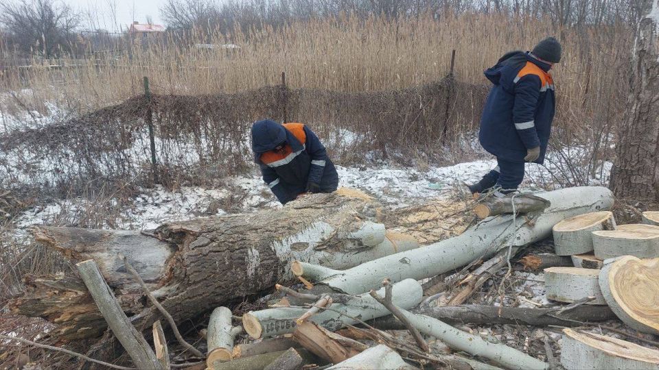 � ������ ��� ��������. ������������� ��������� ����������� �������� ��������� ��������� ��� ����������� ������ �� ���������� ��������� ����